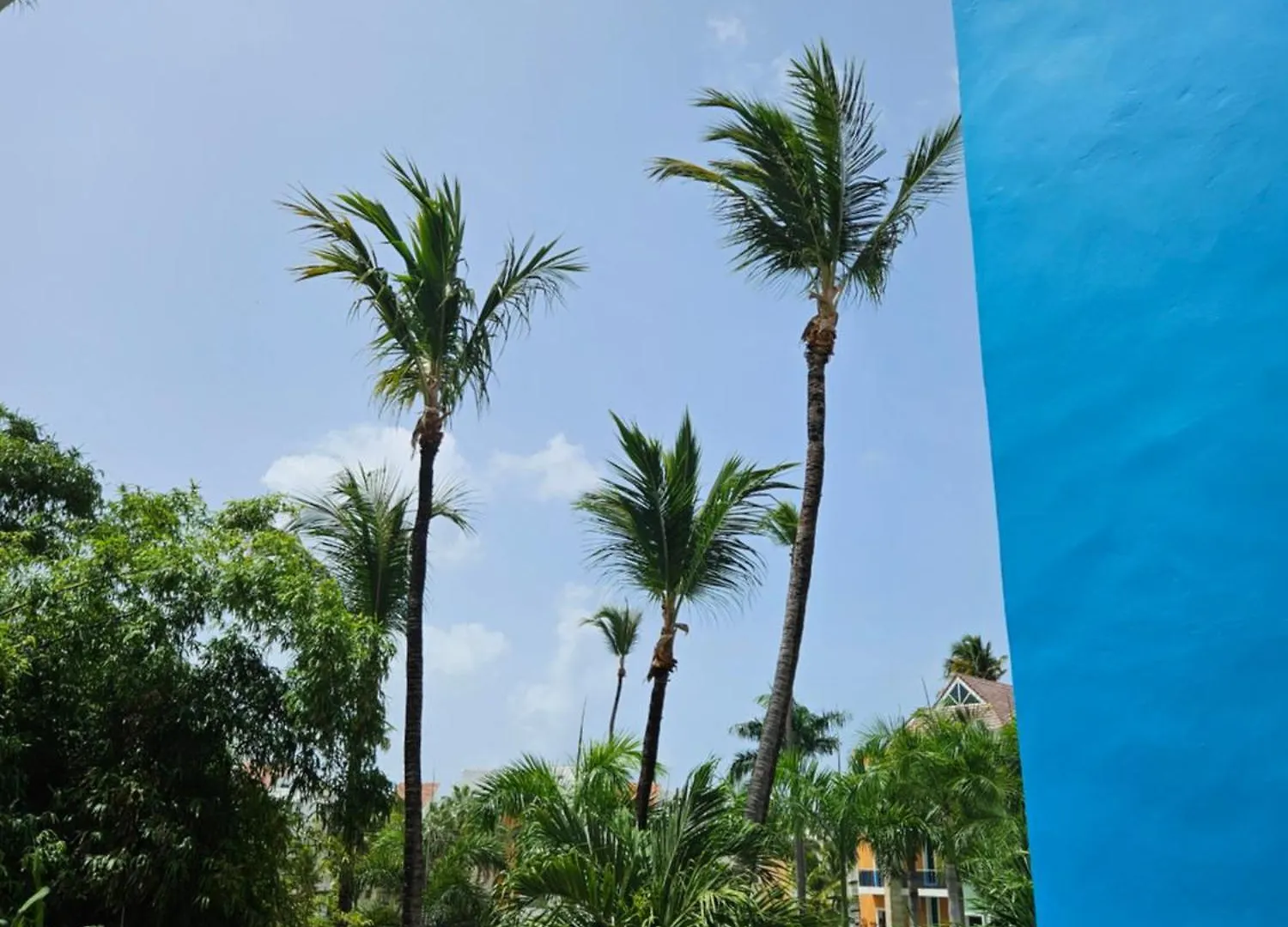 Residencial Olas De Bavaro Punta Cana 0*,